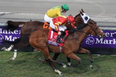 Iridessa wins at the Breeders Cup